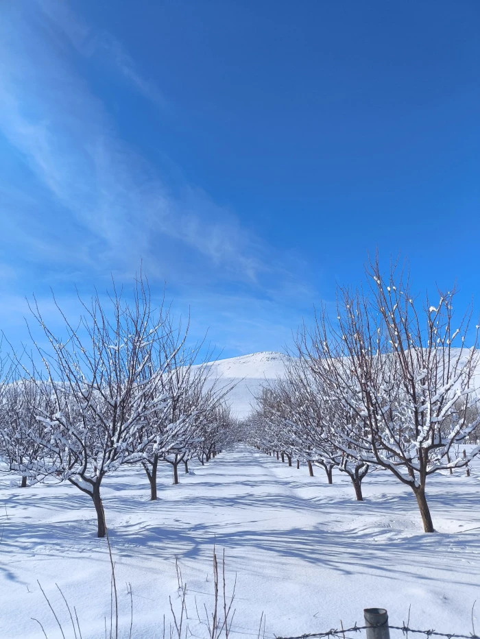 Kerem'in G&ouml;z&uuml;nden