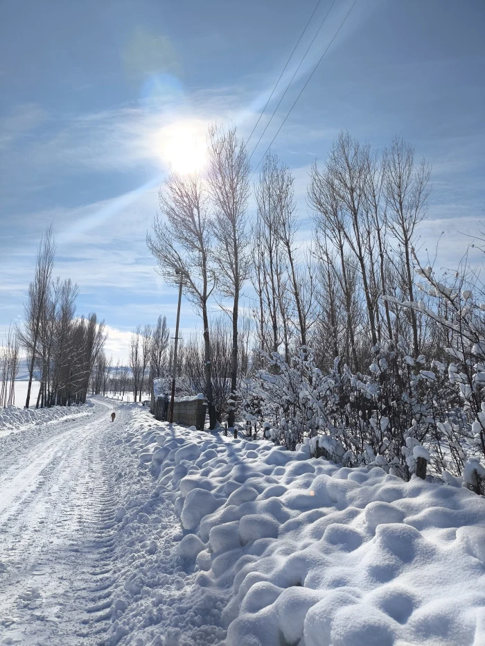 Kerem'in G&ouml;z&uuml;nden