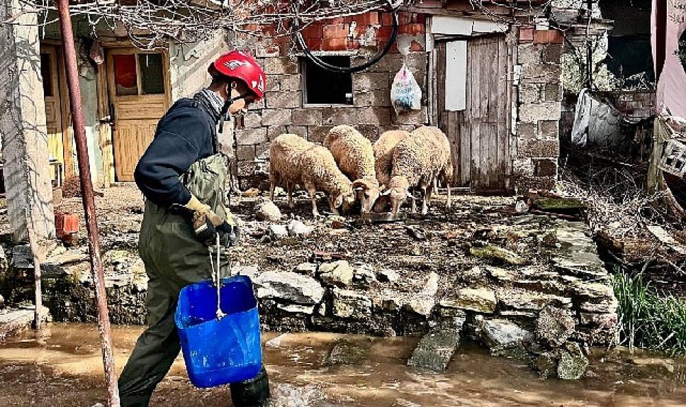 B&uuml;y&uuml;kşehir ekipleri t&uuml;m canlılar i&ccedil;in aynı &ouml;zveriyle &ccedil;alışıyor