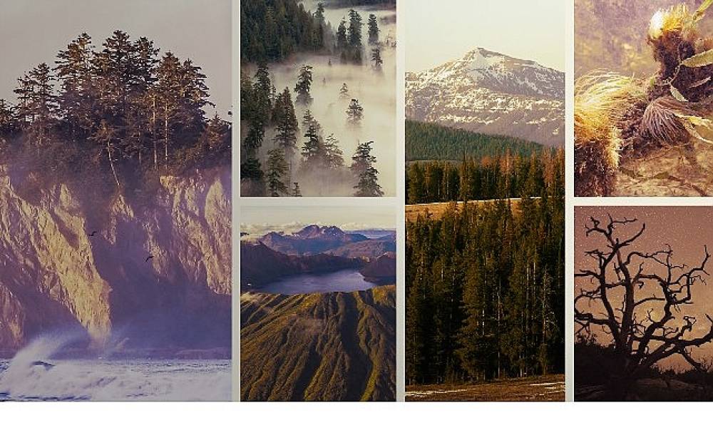  'Ulusal Parklar: Amerika &Ouml;zel',   3 Mayıs Pazar Saat 20.00'de  National Geographic WILD Ekranlarında İzleyicilerle Buluşuyor!