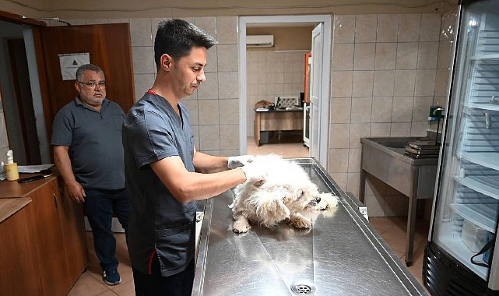 Kemer Belediyesi &ldquo;Can dostlarına" sahip &ccedil;ıkıyor 