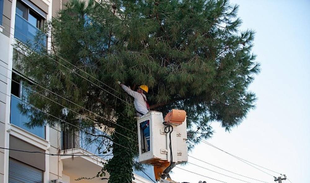 Karşıyaka'da budama seferberliği: Ağa&ccedil;lar bahara hazırlanıyor