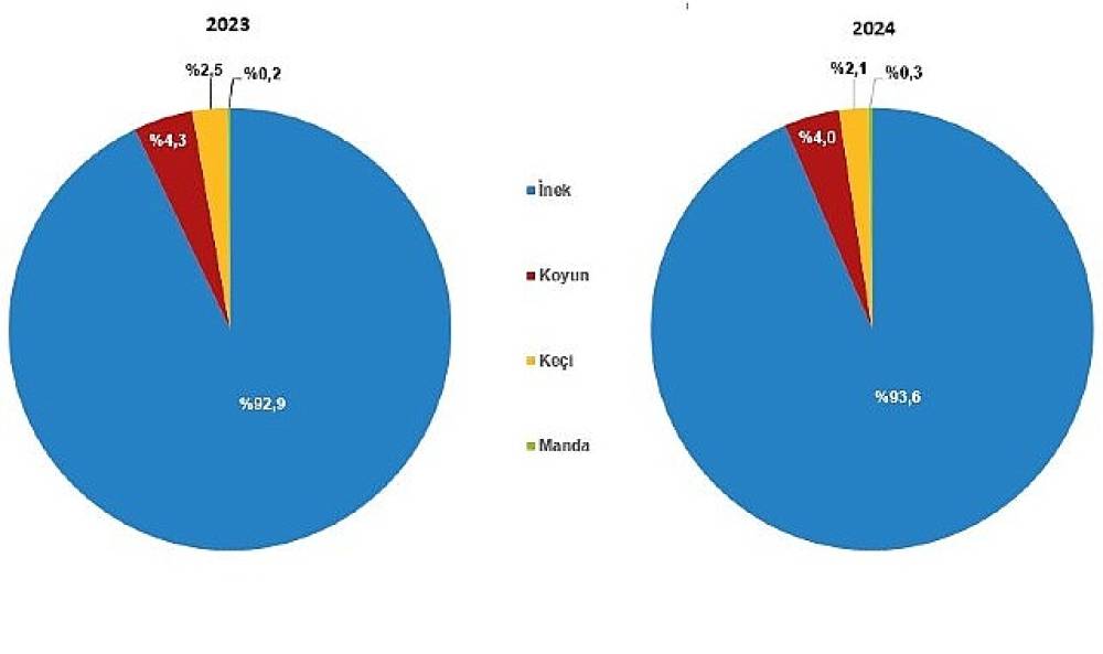 Çiğ Süt Üretim İstatistikleri, 2024