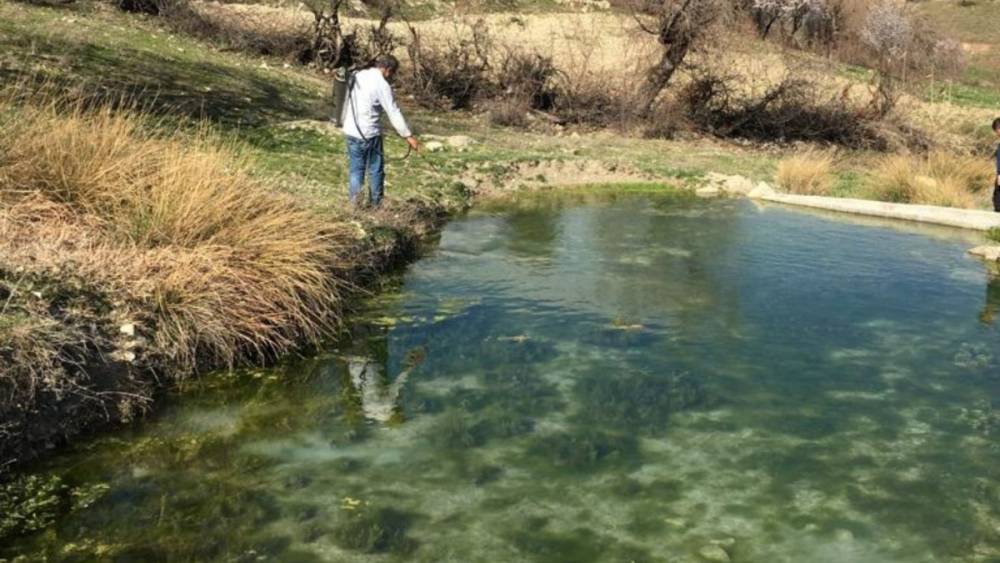 960 yerleşim yerinde karasinek ve sivrisinekle mücadele çalışmaları 1 Mayıs itibariyle başladı 