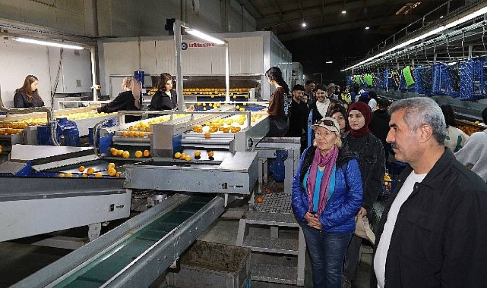 “İşinizi aşkla yapın dürüst olun başarı peşinden gelecek