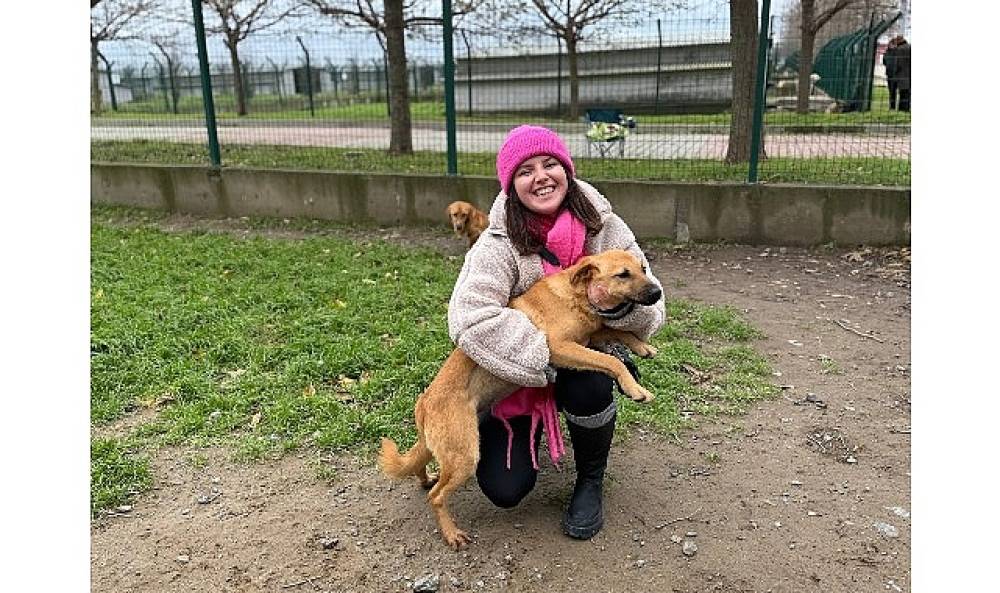 İstanbul'da S&ouml;mestir Dolu Dolu Ge&ccedil;ti