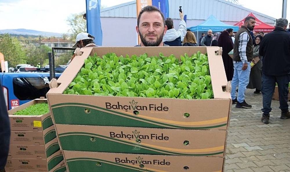 Kocaeli'de &ccedil;ift&ccedil;ilere sebze fidesi desteği