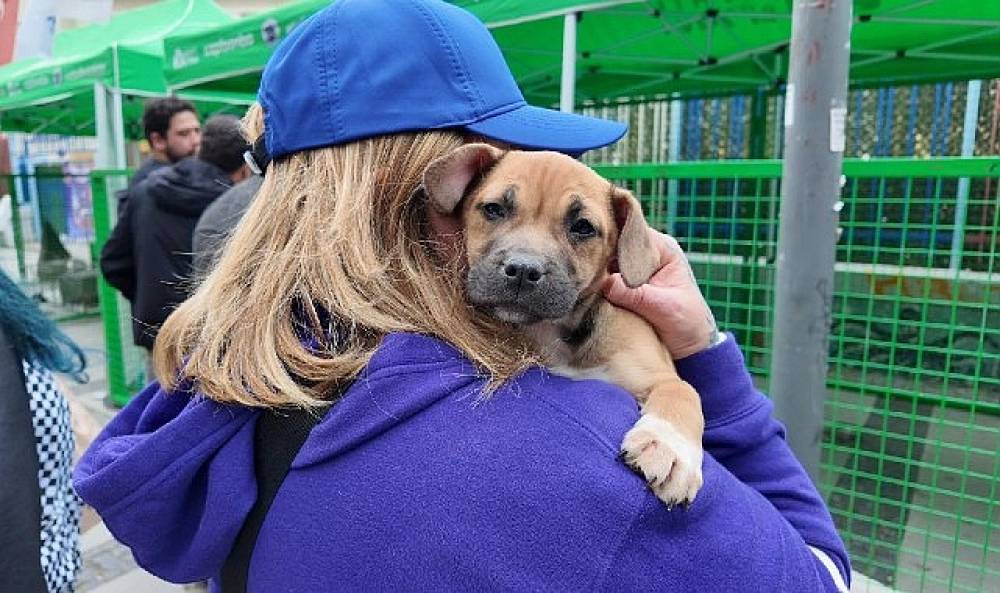 Konak'ta sahiplendirme buluşması: 11 can dost yeni yuvalarına kavuştu