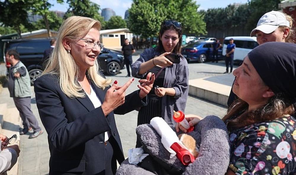 Bakırk&ouml;y Belediyesi Sokak Hayvanları Bakım Merkezi Yenileniyor