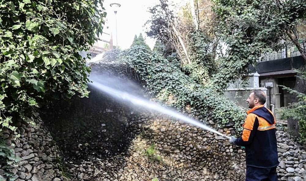 Başkent'in Simgesi Kuğulupark'ta Buharlı Temizlik
