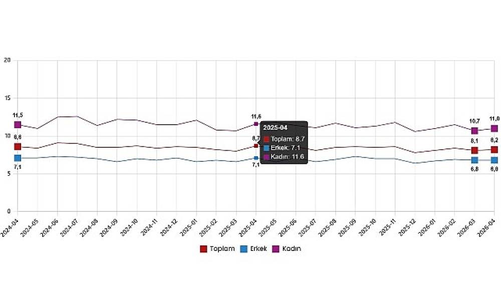 İşg&uuml;c&uuml; İstatistikleri, Nisan 2026