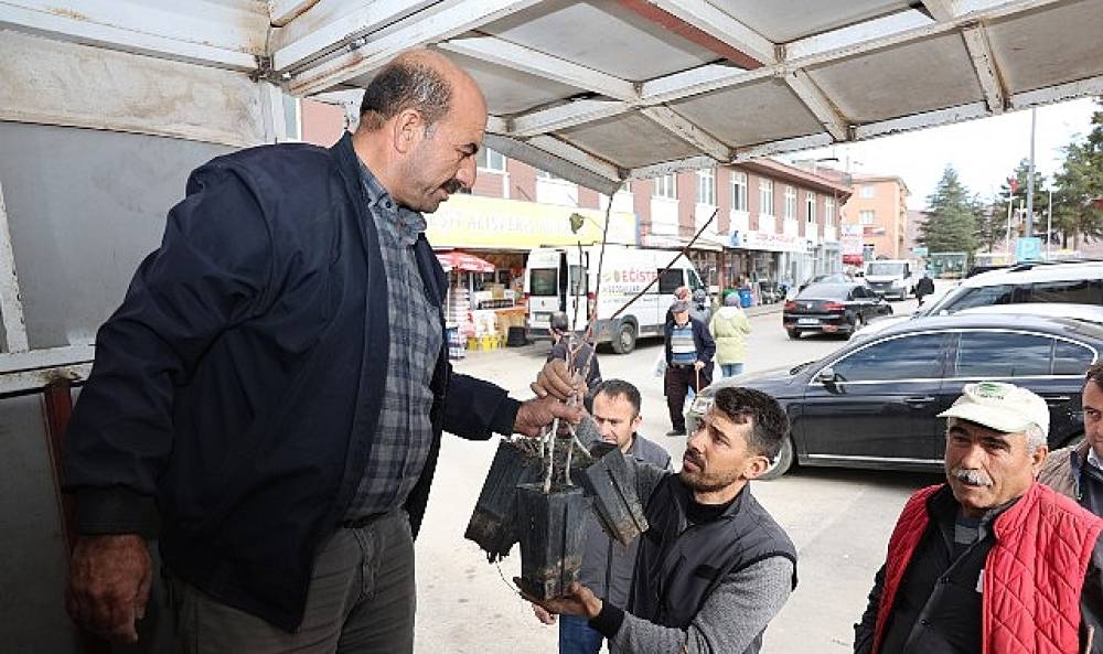 Başkan Altay: “Mikro Klima Etkisine Sahip Bölgelerimizde Kuraklığa Dayanıklı Yapısıyla Antep Fıstığını Yaygınlaştırıyoruz