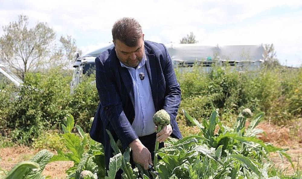 İl&ccedil;enin &ouml;nemli tarımsal &uuml;retim merkezlerinden D&uuml;zce K&ouml;y&uuml;'nde ger&ccedil;ekleşen hasada, Seferihisar Belediye Başkanı İsmail Yetişkin de katıldı.   