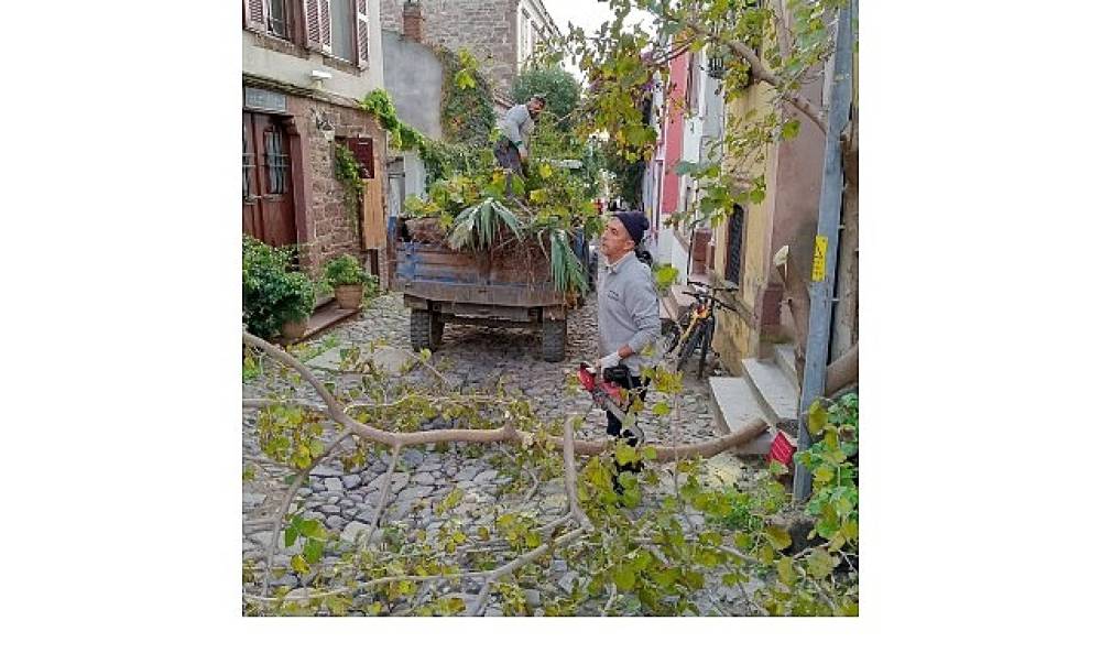 Ayvalık'ta Kışa Hazırlık…