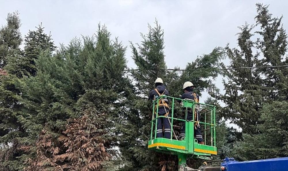 Kartepe'de Yeşil Alanlara D&uuml;zenli Bakım
