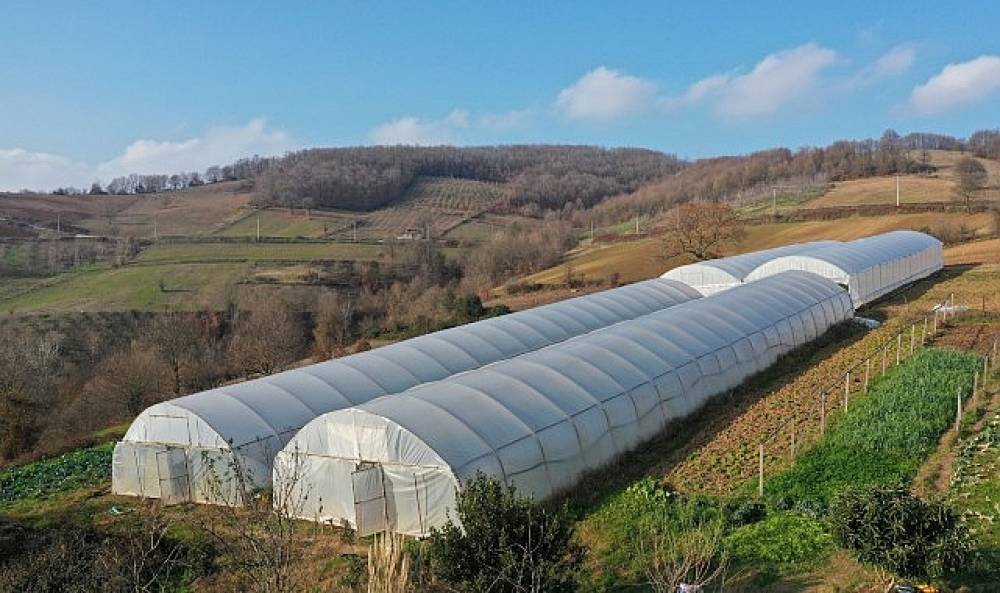 Kocaeli B&uuml;y&uuml;kşehir, tarımı geleceğe taşıyor