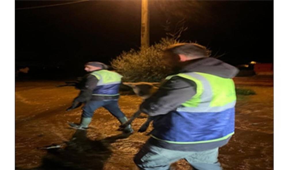 Canlar i&ccedil;in B&uuml;y&uuml;kşehir ekiplerinin &ouml;zverili &ccedil;abası