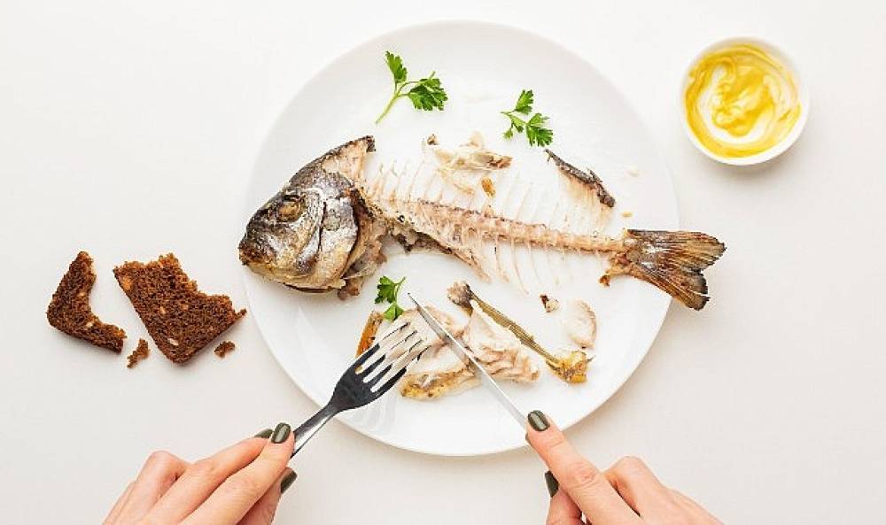 BALIK ALERJİSİ OLAN BİREYLERİN DENGELİ BESLENME İPUÇLARI: PROTEİN, OMEGA-3 VE DİĞER TEMEL BESİN ÖĞELERİ