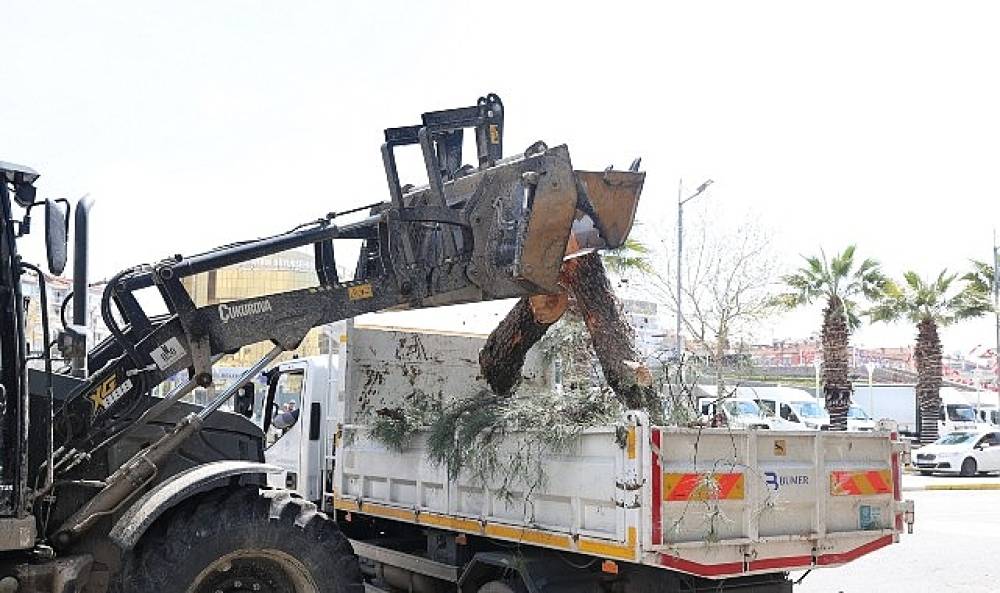 Başkan &Ccedil;er&ccedil;ioğlu'ndan Aydın'ın Yeşil Dokusunu Geleceğe Taşıyan &Ccedil;alışma