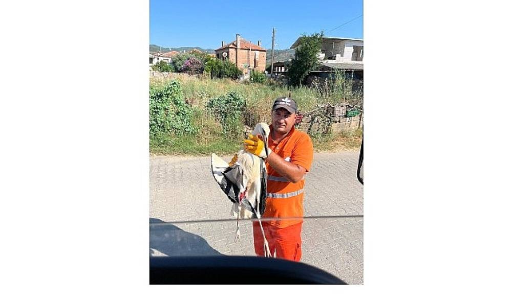 Belediye İş&ccedil;isi, G&ouml;revi Sırasında Bulduğu Yaralı Leyleğin İmdadına Yetişti