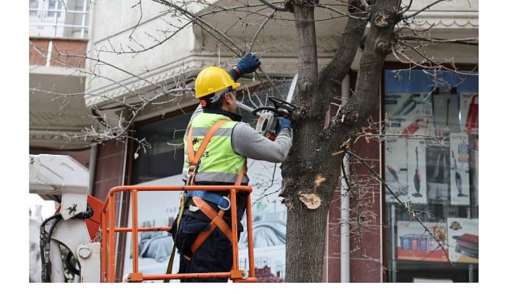 Budama &Ccedil;alışmalarından Yakacak Elde Ediliyor