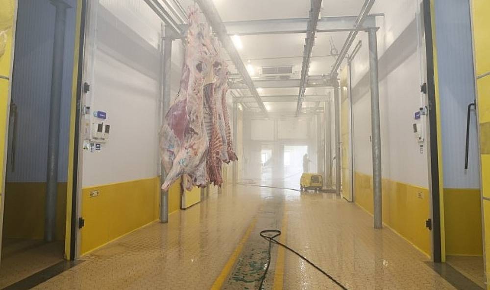 B&uuml;y&uuml;kşehir Mezbahası'nda hijyenik ve helal kesim