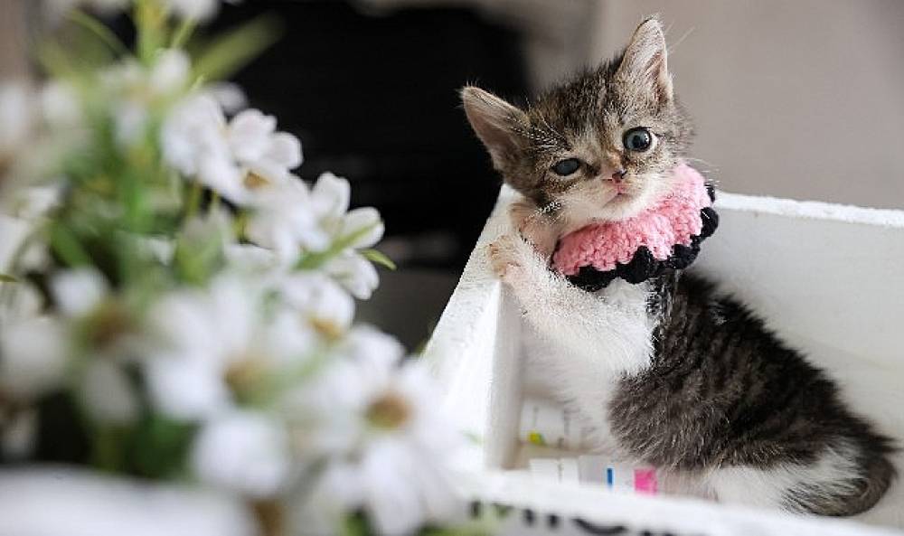 Buca Belediyesi 'Zero' i&ccedil;in seferber oldu