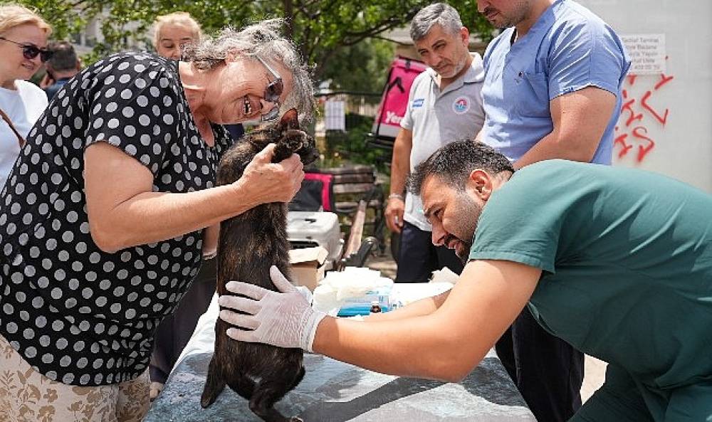 Sokak hayvanlarına yerinde sağlık desteği s&uuml;r&uuml;yor