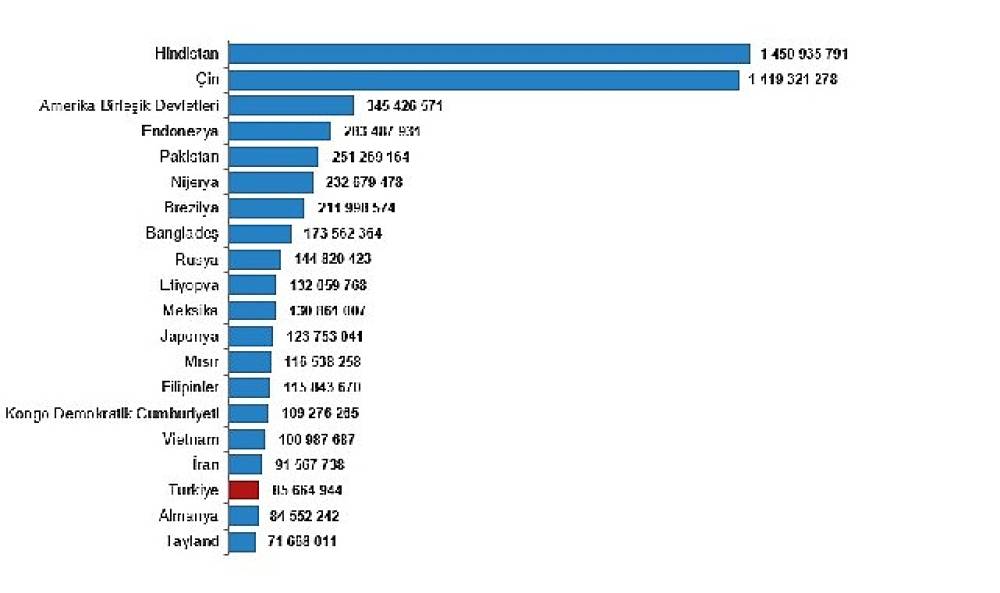 Küresel Nüfus Dinamikleri: Çarpıcı İstatistikler