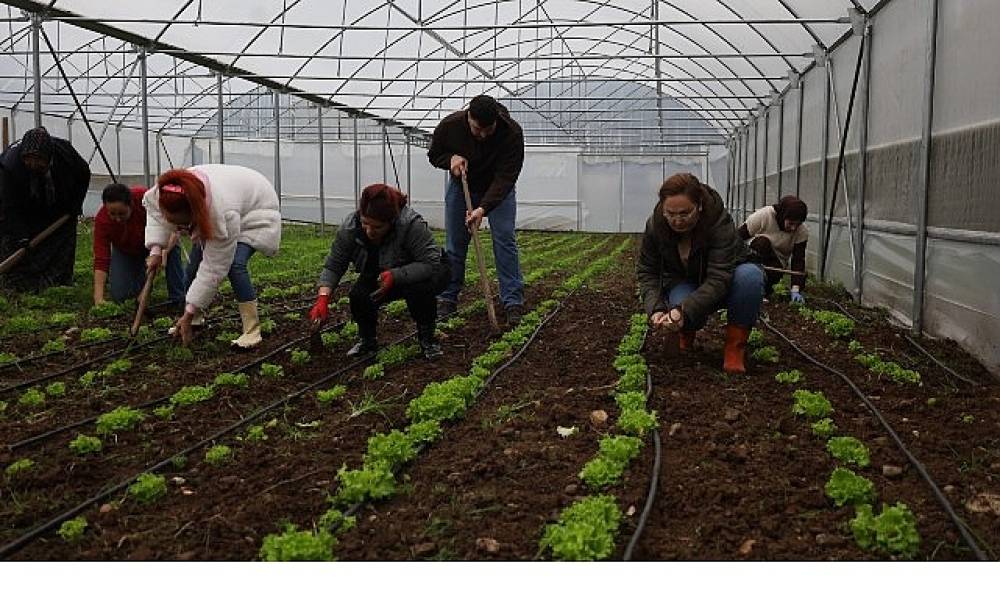 Kadın ve gen&ccedil;ler, B&uuml;y&uuml;kşehir'le tarıma kazandırılıyor