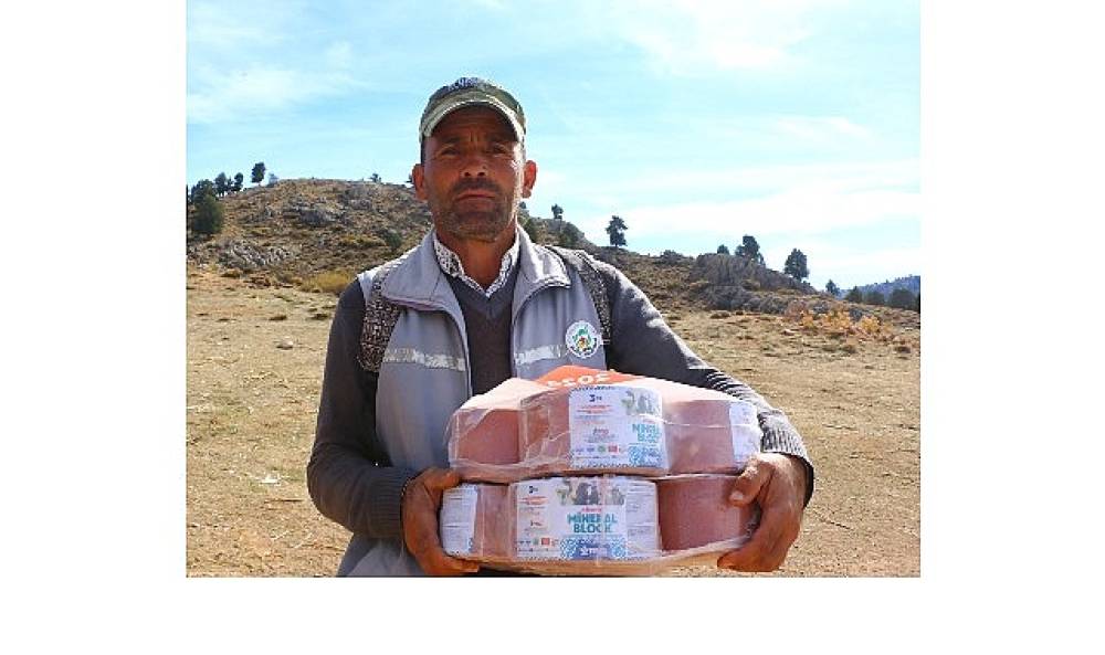 B&uuml;y&uuml;kşehir &Ccedil;oban Haritası Projesi ile 508 &ccedil;obana destek oldu