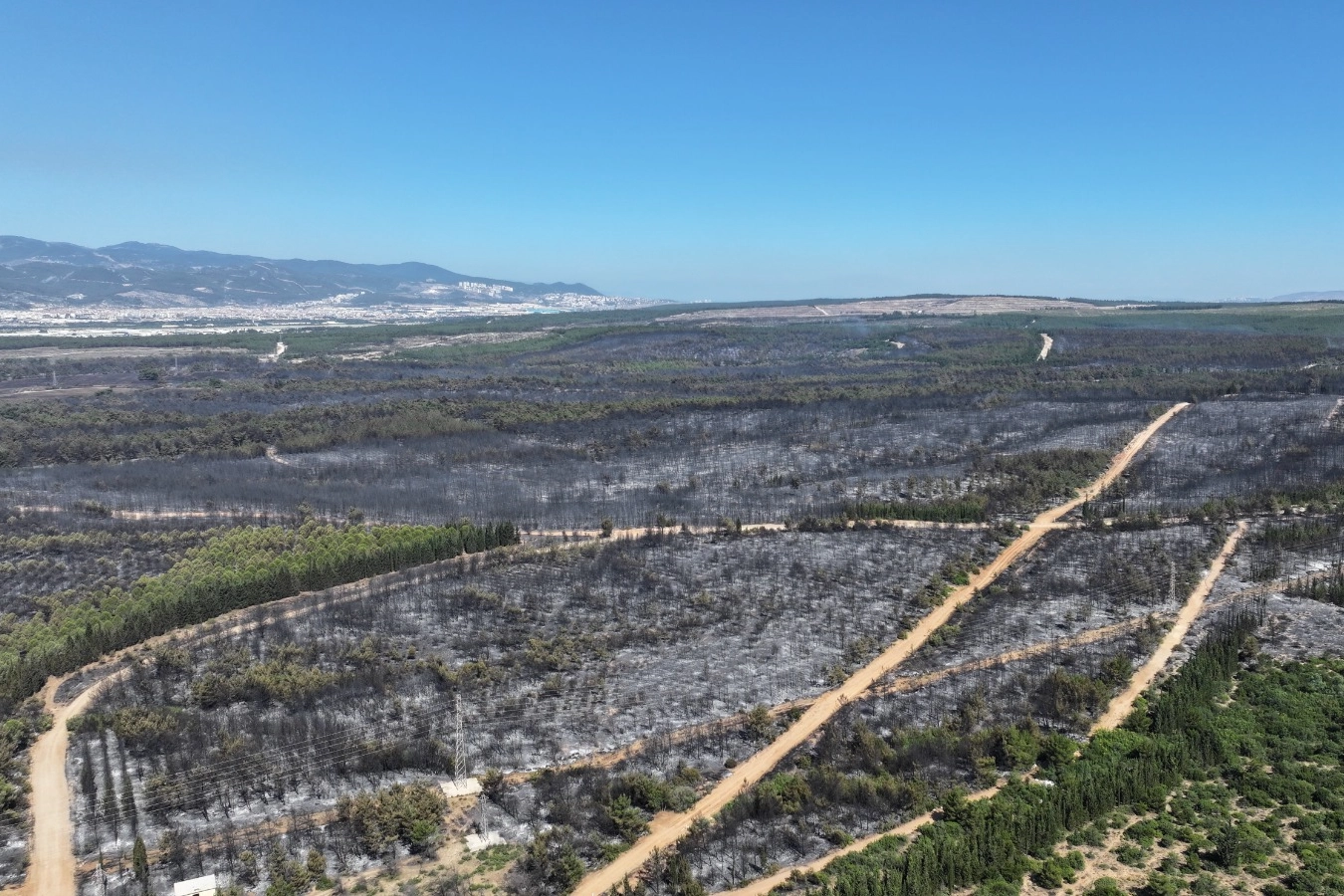 İzmir'de Afet Hazırlıkları Ele Alındı