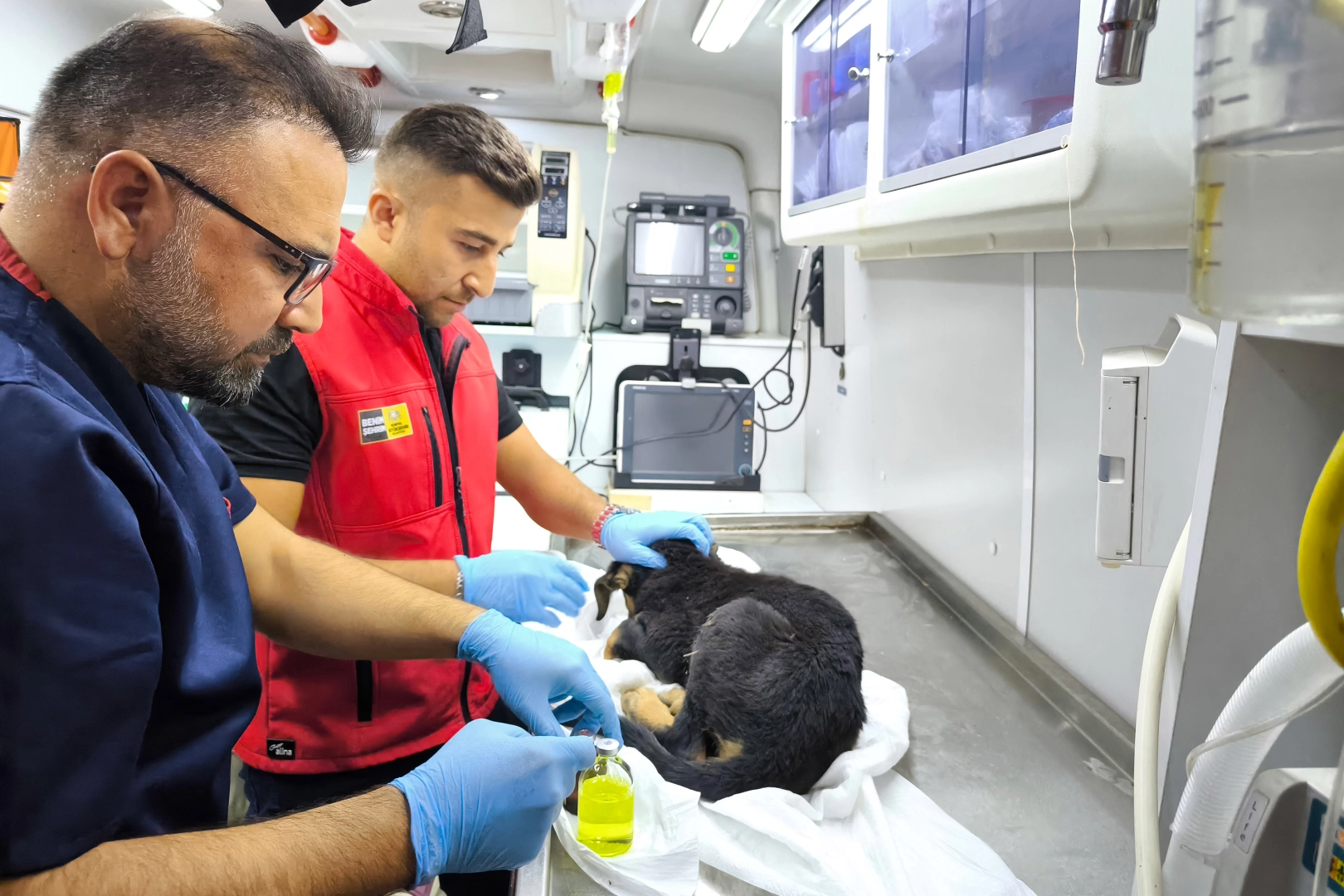 Kanalizasyonda Mahsur Kalan Minik Köpek Kurtarıldı
