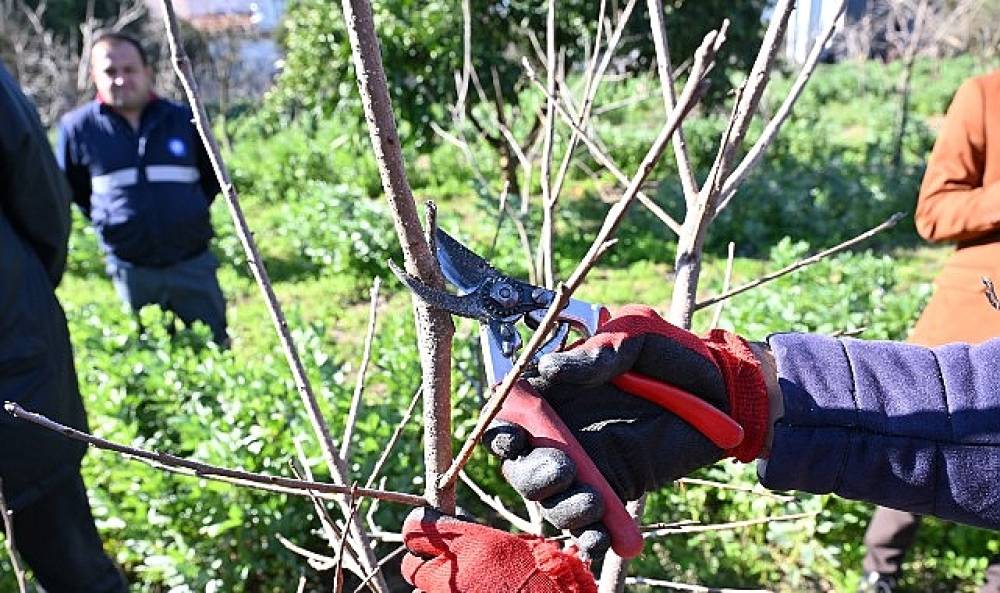 ATASEM'de uygulamalı ağa&ccedil; budama eğitimi