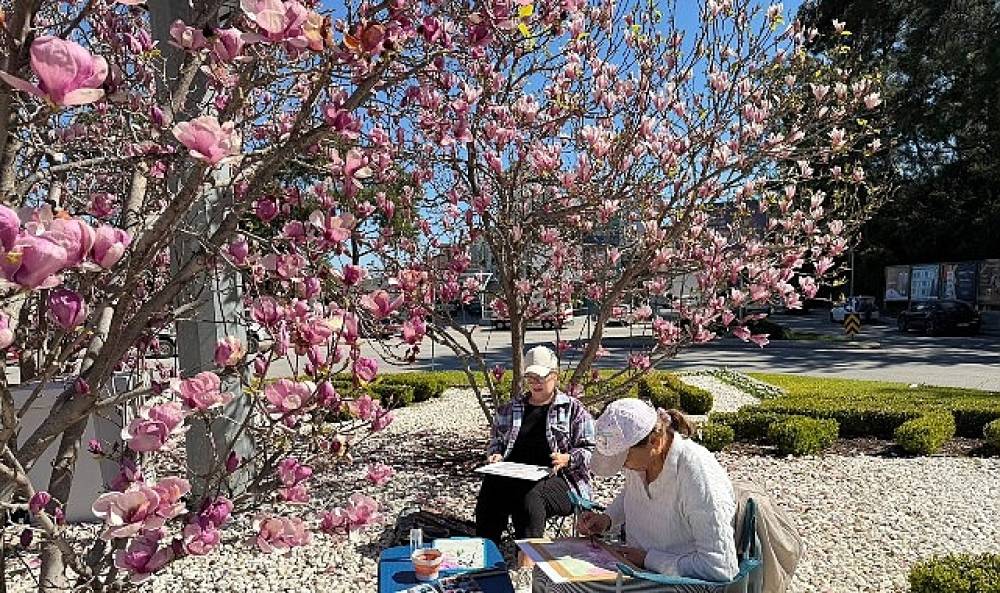 Turistler Kemer'de manolyaları resmediyor 