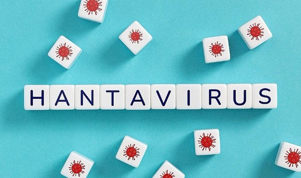 Hantavir&uuml;s&uuml;n insandan insana yayılım riski d&uuml;ş&uuml;k