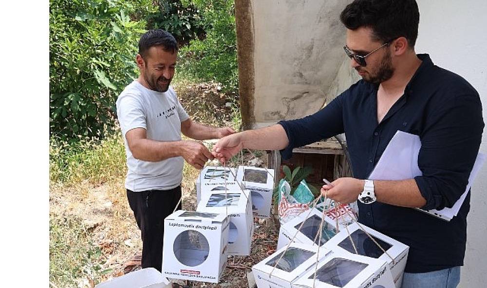 B&uuml;y&uuml;kşehir'den 800 dekar araziye faydalı b&ouml;cek desteği