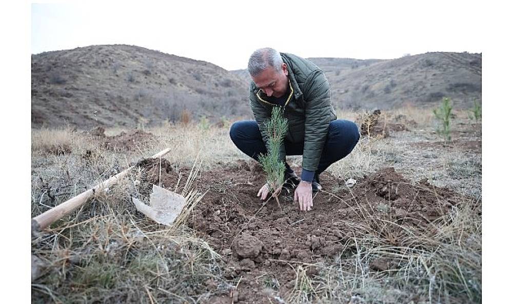 58 Bin Fidan Muhsin Yazıcıoğlu Vefa Ormanı'nda Toprakla Buluştu