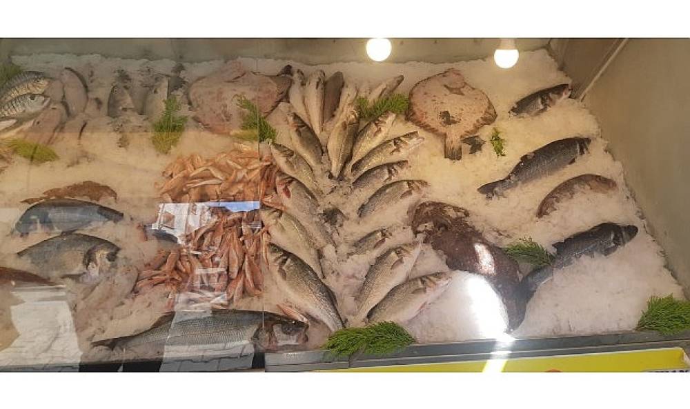 İzmir’de Yasa Dışı Su Ürünleri Avcılığına 321 Bin TL Ceza