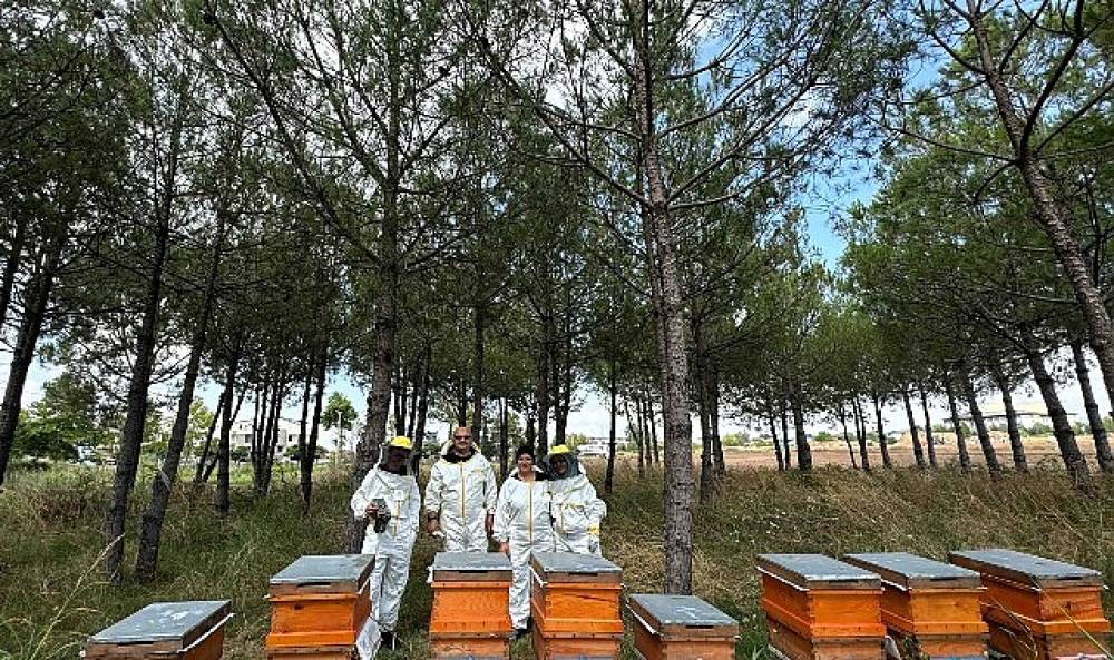 Bilin&ccedil;li &uuml;retim, Kocaeli'nin balını T&uuml;rkiye'ye taşıyor