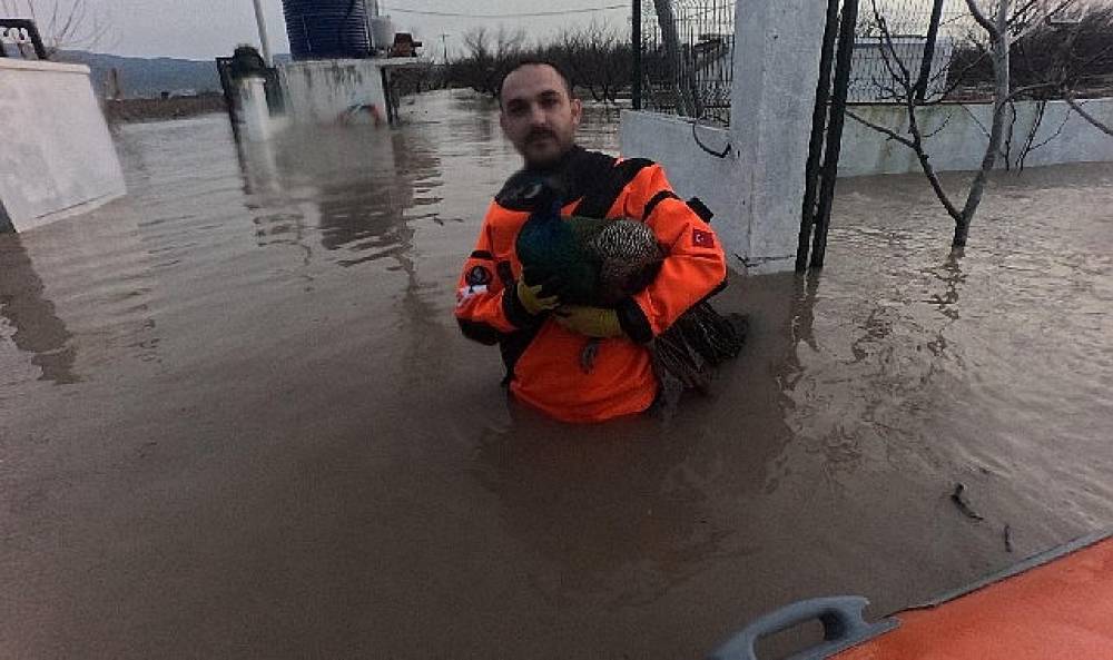İzmir İtfaiyesi sessiz canlar i&ccedil;in zamanla yarıştı
