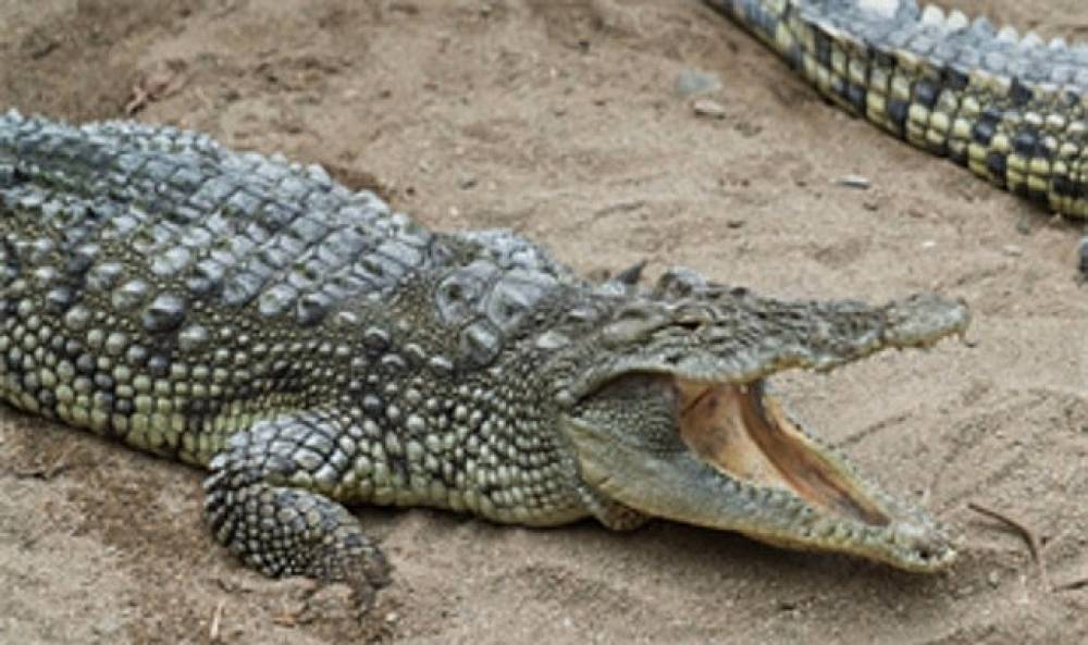 B&uuml;y&uuml;kşehir'den &ccedil;ocuklara bayram hediyesi