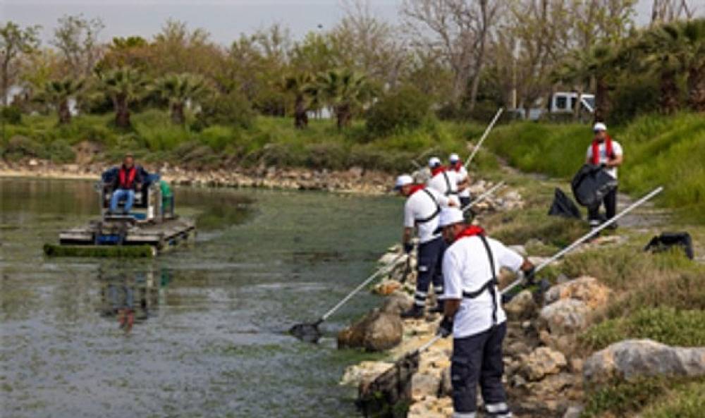 &Ccedil;akalburnu Lag&uuml;n&uuml;'nden K&ouml;rfez'e yayılan yosunlara yoğun m&uuml;dahale