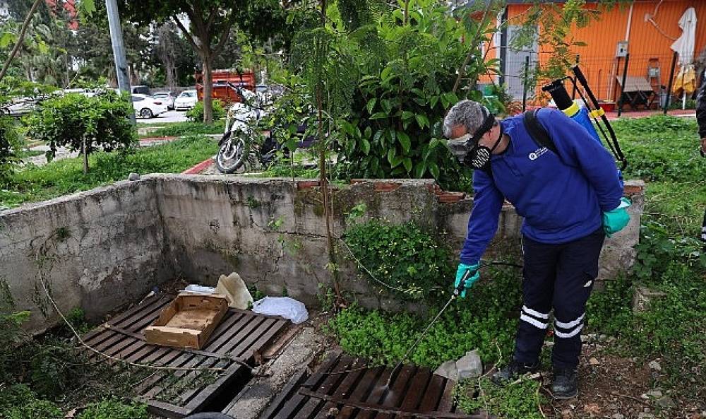 B&uuml;y&uuml;kşehir'den sinek &uuml;reme alanlarında yoğun &ccedil;alışma 