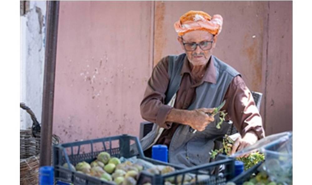 Beydağ incirinin katma değeri artıyor