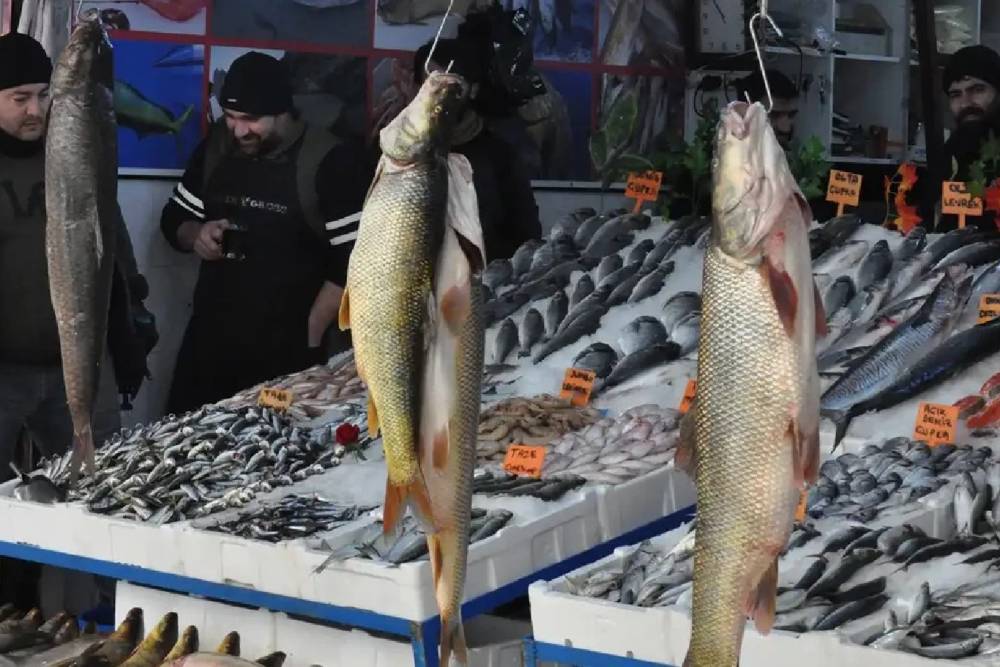 İ&ccedil; sularda sazangiller i&ccedil;in av yasağı başladı