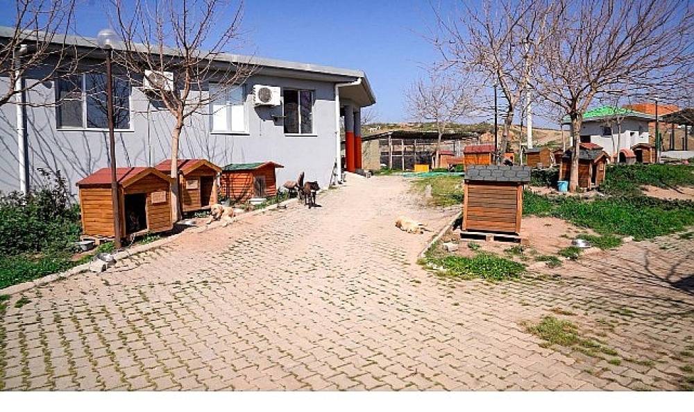 Başkan Yetişkin: &ldquo;Artık &ccedil;&ouml;pe giden yemekler can dostlarımız i&ccedil;in mamaya d&ouml;n&uuml;ş&uuml;yor"