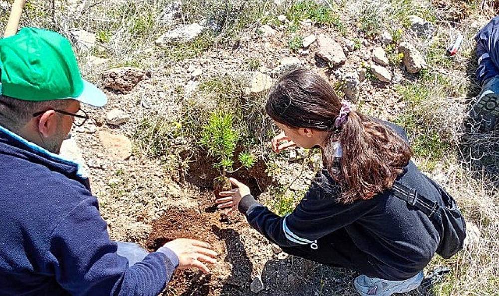 Selçuklu'da Yeşil Doku Güçlenmeye Devam Ediyor