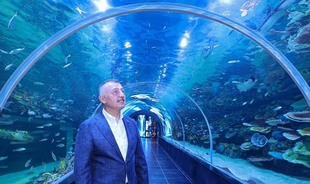 K&ouml;rfez Aqua Kıtalar Akvaryumu kapılarını a&ccedil;ıyor