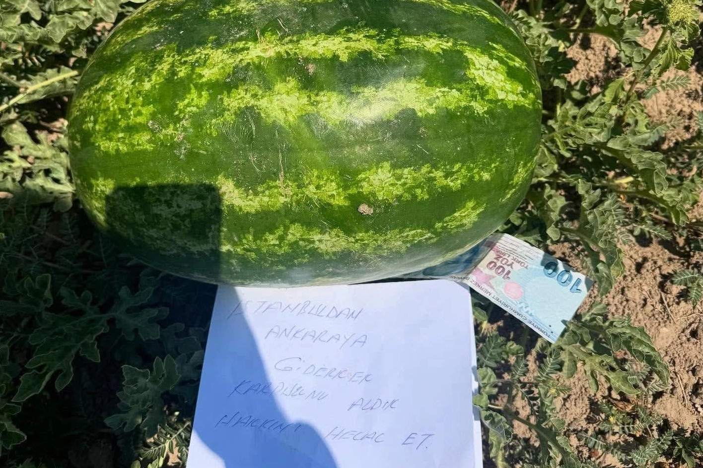 Karpuzun Bedeli: Duyarlılık Kazandı